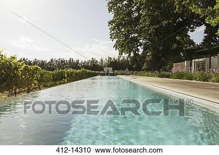 Stock Image - Luxury lap pool among vineyard. Fotosearch