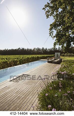Picture - Luxury lap pool overlooking vineyard. Fotosearch