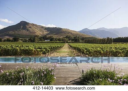 Stock Image - Luxury lap pool overlooking vineyard and mountains. Fotosearch