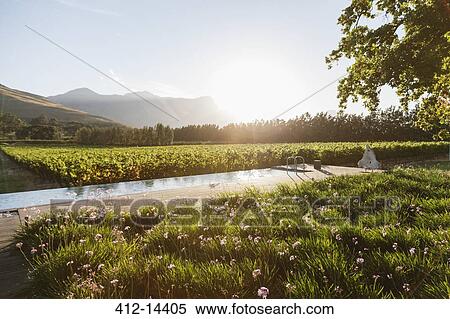 Stock Photography - Luxury lap pool overlooking vineyard and mountains. Fotosearch