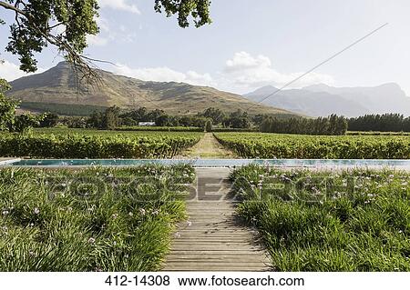 Stock Photo - Wooden walkway and lap pool in rural landscape. Fotosearch