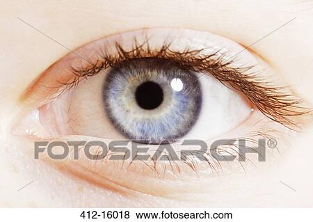Extreme close up of blue eye View Large Photo Image Stock Photo - Extreme close up of blue eye. Fotosearch