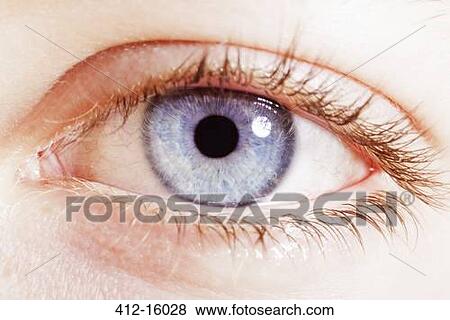 Stock Photo - Extreme close up of blue eye. Fotosearch