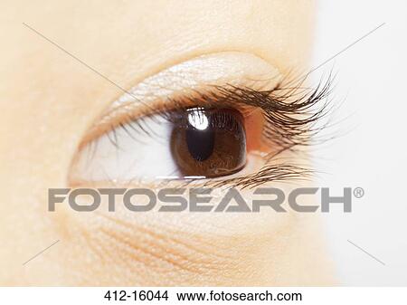Extreme close up of brown eye View Large Photo Image Picture - Extreme close up of brown eye. Fotosearch