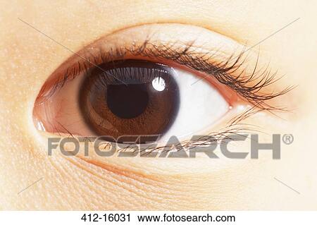 Extreme close up of brown eye View Large Photo Image Stock Image - Extreme close up of brown eye. Fotosearch
