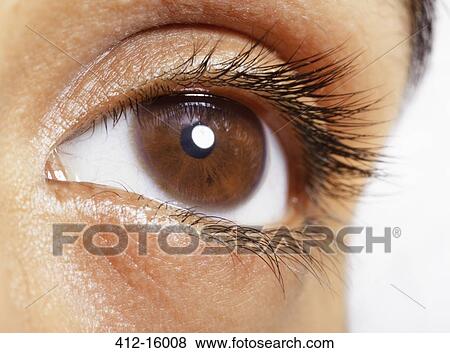 Stock Photo - Extreme close up of brown eye. Fotosearch