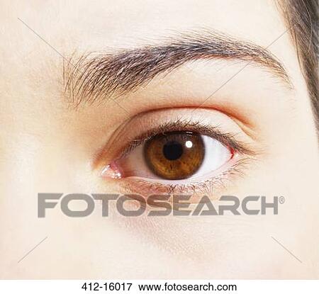 Stock Photo - Extreme close up of brown eye. Fotosearch