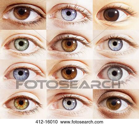 Extreme close up of digital composite of eyes View Large Photo Image Stock Image - Extreme close up of digital composite of eyes. Fotosearch