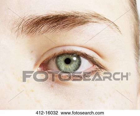 Extreme close up of green eye View Large Photo Image Stock Image - Extreme close up of green eye. Fotosearch