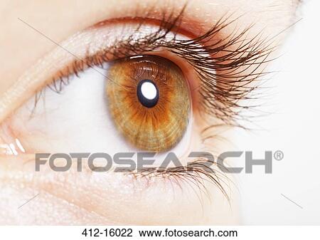 Stock Image - Extreme close up of hazel eye. Fotosearch