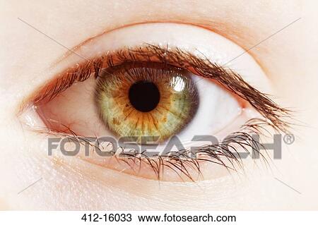 Extreme close up of hazel eye View Large Photo Image Stock Image - Extreme close up of hazel eye. Fotosearch
