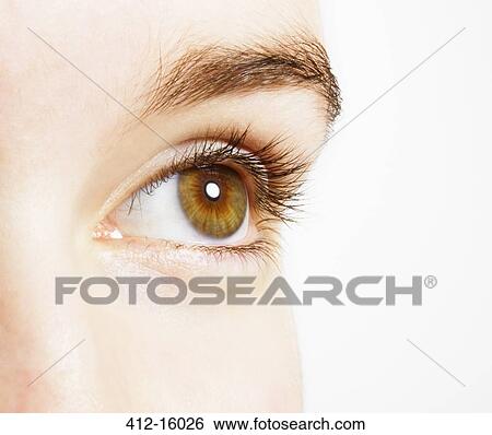 Extreme Close Up Of Hazel Eye Stock Photograph 412 16026