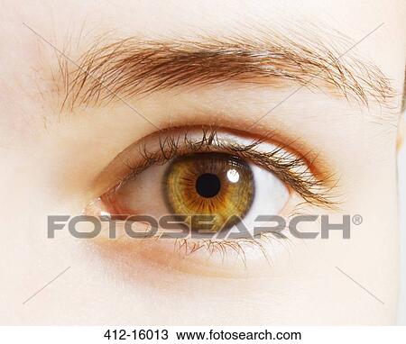 Stock Image - Extreme close up of hazel eyes. Fotosearch