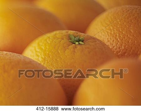 Stock Photo - Extreme close up of oranges. Fotosearch