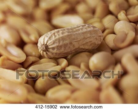 Stock Image - Extreme close up of peanuts. Fotosearch