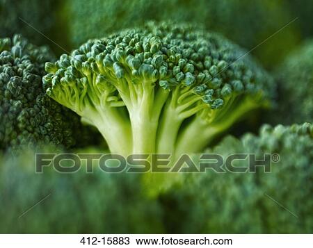 Stock Image - Extreme close up of raw broccoli. Fotosearch