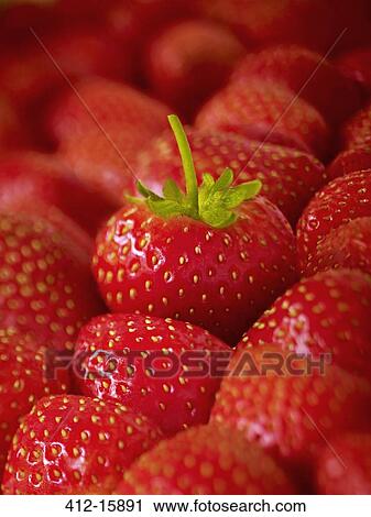 Extreme close up of ripe strawberries View Large Photo Image Stock Image - Extreme close up of ripe strawberries. Fotosearch