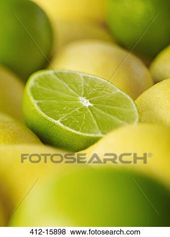 Extreme close up of sliced lime among lemons View Large Photo Image Stock Photo - Extreme close up of sliced lime among lemons. Fotosearch