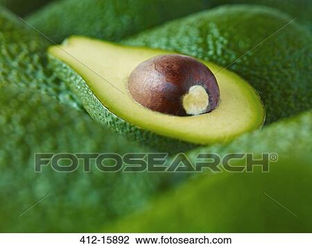 Extreme close up of sliced Pinkerton avocado View Large Photo Image Stock Image - Extreme close up of sliced Pinkerton avocado. Fotosearch
