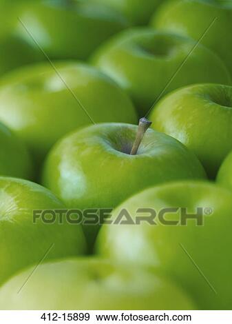 Extreme close up of whole green Granny Smith apples View Large Photo Image Stock Photo - Extreme close up of whole green Granny Smith apples. Fotosearch