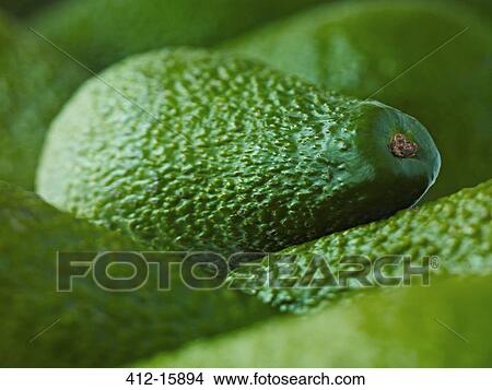 Picture - Extreme close up of whole Pinkerton avocados. Fotosearch
