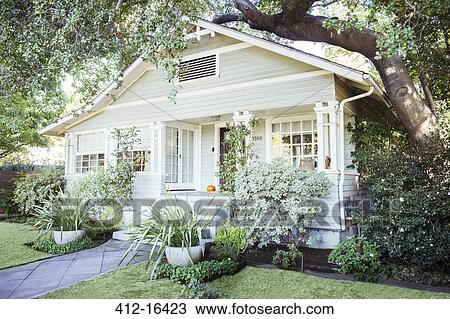 Plants and trees around house View Large Photo Image Stock Image - Plants and trees around house. Fotosearch