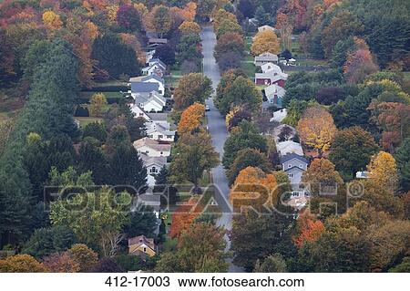 Autumn trees among suburban neighborhood View Large Photo Image Stock Image - Autumn trees among suburban neighborhood. Fotosearch