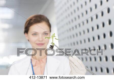 Stock Image - Botanist holding plant with tweezers. Fotosearch