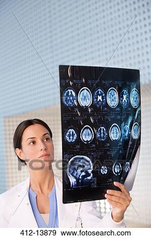 Doctor examining brain scan View Large Photo Image Stock Photo - Doctor examining brain scan. Fotosearch