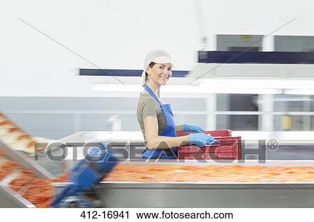 Portrait of confident worker carrying crate in food processing plant View Large Photo Image Stock Image - Portrait of confident worker carrying crate in food processing plant. Fotosearch