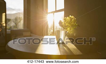 Sun shining in window behind flower in glass View Large Photo Image Stock Image - Sun shining in window behind flower in glass. Fotosearch
