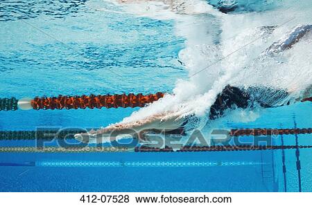 Stock Photo - Swimmer diving into pool. Fotosearch