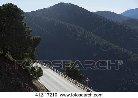 View of trees covering mountains View Large Photo Image Stock Image - View of trees covering mountains. Fotosearch