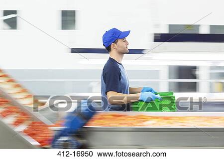Worker carrying crate in food processing plant View Large Photo Image Stock Image - Worker carrying crate in food processing plant. Fotosearch