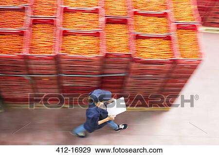 Stock Photo - Worker with clipboard walking past tomato crates in food processing plant. Fotosearch