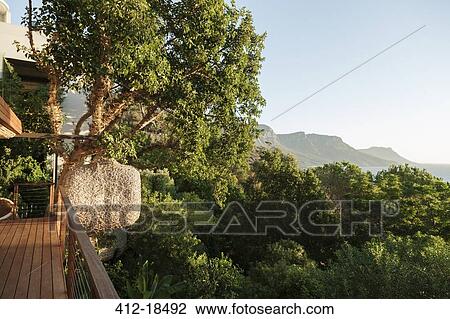Scenic view of mountains through trees off balcony View Large Photo Image Stock Image - Scenic view of mountains through trees off balcony. Fotosearch