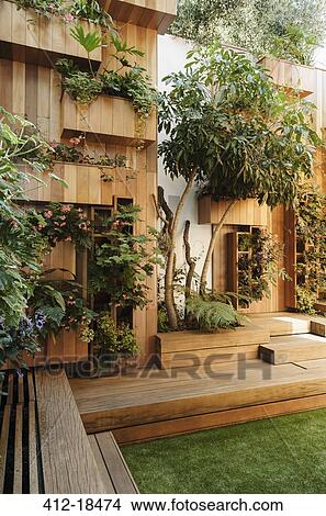 Trees and plants growing along wooden courtyard View Large Photo Image Picture - Trees and plants growing along wooden courtyard. Fotosearch