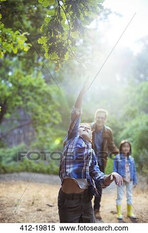 Boy catching glowing ball in forest View Large Photo Image Stock Photography - Boy catching glowing ball in forest. Fotosearch