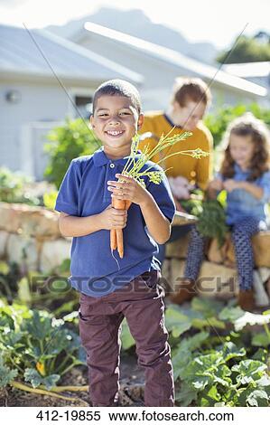 Boy holding bunch of carrots in garden View Large Photo Image Stock Photography - Boy holding bunch of carrots in garden. Fotosearch