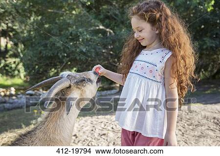 Picture - Girl feeding animal in forest. Fotosearch