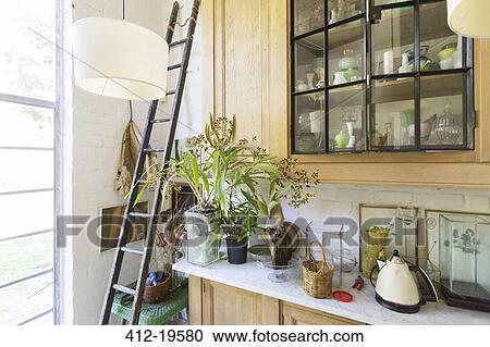 Ladder, plants and cabinets in rustic house View Large Photo Image Stock Image - Ladder, plants and cabinets in rustic house. Fotosearch