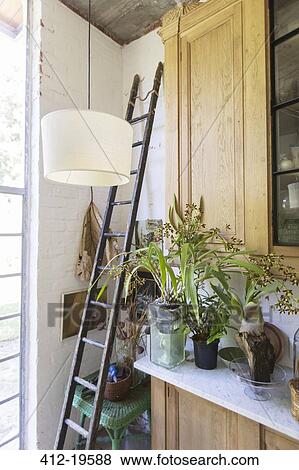 Ladder, plants and cabinets in rustic house View Large Photo Image Stock Photo - Ladder, plants and cabinets in rustic house. Fotosearch