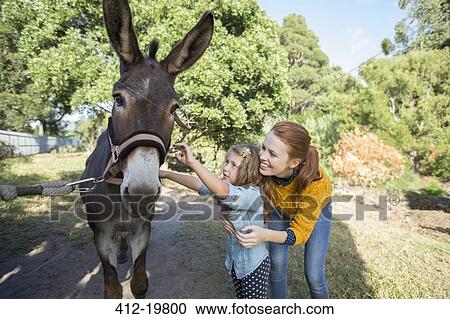 Student and teacher petting donkey at zoo View Large Photo Image Stock Image - Student and teacher petting donkey at zoo. Fotosearch