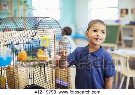 Student examining birdcage in classroom View Large Photo Image Stock Photo - Student examining birdcage in classroom. Fotosearch