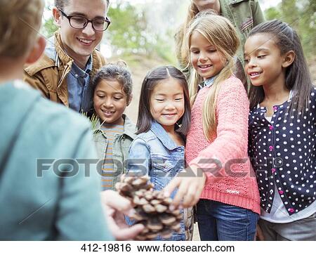Students and teacher examining pine cone in forest View Large Photo Image Stock Photograph - Students and teacher examining pine cone in forest. Fotosearch