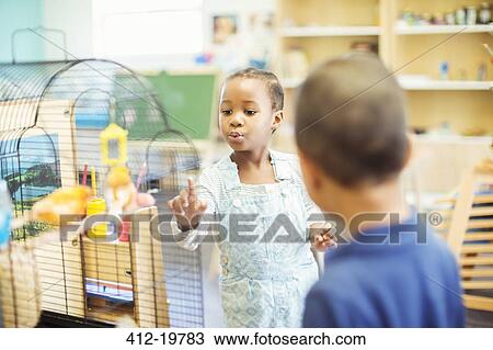 Students examining birdcage in classroom View Large Photo Image Stock Image - Students examining birdcage in classroom. Fotosearch