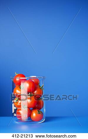 Beaker of small tomatoes on blue counter View Large Photo Image Stock Image - Beaker of small tomatoes on blue counter. Fotosearch