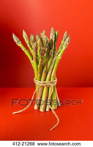 Bunch of asparagus tied with string View Large Photo Image Stock Photo - Bunch of asparagus tied with string. Fotosearch