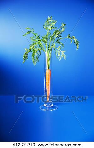 Carrot standing upright in glass on blue counter View Large Photo Image Stock Image - Carrot standing upright in glass on blue counter. Fotosearch