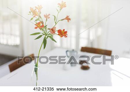 Stock Photography - Close up of flower in vase on dining room table. Fotosearch